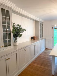 an empty kitchen with white cabinets and wood flooring, along with a plant in a vase on the counter