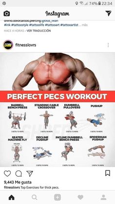 an image of a man doing the perfect pec's workout on instagram