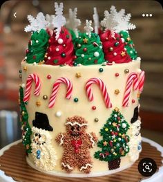 a decorated christmas cake with candy canes and candies on the top is sitting on a plate