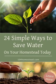 Explore 24 effective water conservation techniques for your homestead. Practical tips to save water and support sustainability.