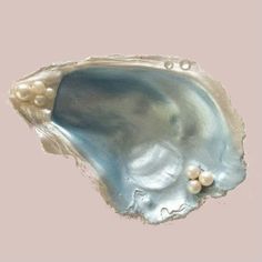 an oyster shell with pearls on it