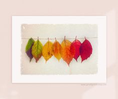 an image of colorful autumn leaves hanging on a line in front of a white wall