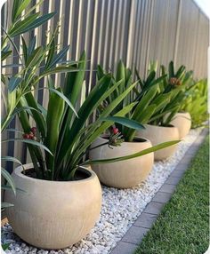 three planters with plants in them on the side of a fence