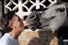 a man is kissing a horse with his nose