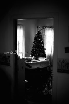 a black and white photo of a christmas tree in the corner of a living room