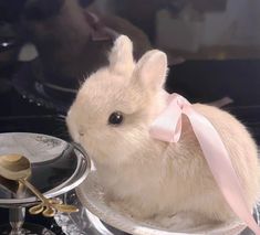 a small white rabbit sitting on top of a plate with a pink bow around it's neck