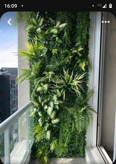 an indoor plant wall on the side of a building