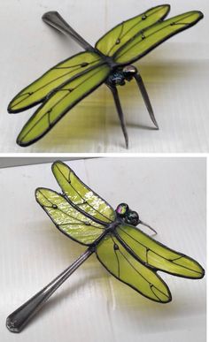 two pictures of the same dragonfly with different wings