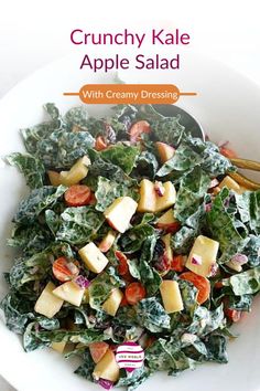 A large bowl of kale salad with apples and cranberries tossed in apple cider dressing. Salad With Apples And Cranberries, Crunchy Kale Salad, Kale Salad With Apples, Vegan Kale Salad, Apple Cider Dressing, Chopped Kale Salad, Kale Apple Salad, Crunchy Kale, Salad With Tahini Dressing