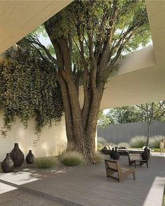 a large tree in the middle of a patio next to two vases and a bench