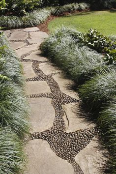 a stone path in the middle of a garden with grass growing on top of it