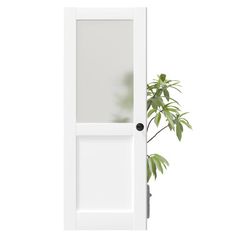 a potted plant sitting in front of a white door with glass panels on the side