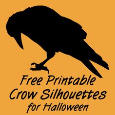 a black crow silhouetted against an orange background with the words free printable crow silhouettes for halloween