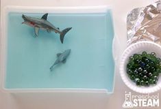 a plastic tray with two fake sharks in it and some green bead balls on the bottom