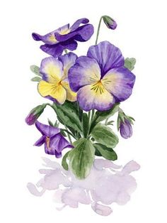 watercolor painting of purple and yellow pansies