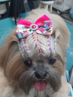 a small dog with a pink bow on it's head