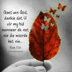 a hand holding a red leaf with butterflies flying around it and the words, gees van god, dankie dat u var