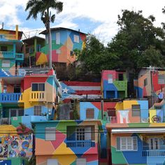 colorful houses are painted in different colors and shapes with palm trees on the other side