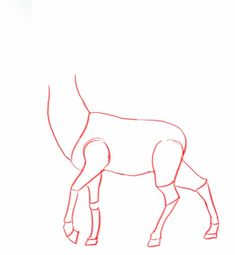 how to draw a deer step by step