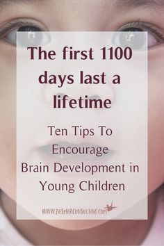 the first 100 days last a lifetime ten tips to engage brain development in young children