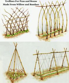 three different types of trelliss for plants and beans made from willow and bamboo