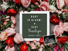 Digital Pregnancy Announcement High resolution file for printing Spring Pregnancy Announcement, Baby Baker, Fun Baby Announcement, Cute Pregnancy Announcement, Baby Announcement Pictures, Funny Pregnancy Announcement, Spring Maternity, Baby Announcement Photos