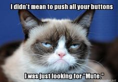 a grumpy cat with the caption i didn't mean to push all your butts