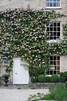 a house covered in pink flowers next to a white door