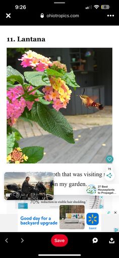 an image of a website page with flowers on it