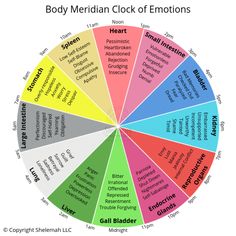 Body Clock Chart, Acupuncture Meridian Chart, Well Digging, Energy Chart, Pendulum Work, Pendulum Chart, Circadian Clock, Dowsing Chart, Chakra Colours