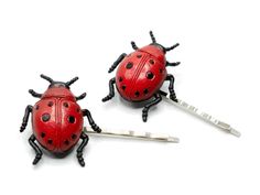 two red ladybugs sitting on top of each other with keys in front of them