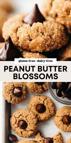 peanut butter blossom cookies with chocolate chips in the middle and text overlay reading gluten - free dairy - free peanut butter blossoms