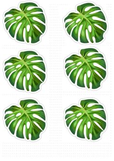 four green leaf stickers on a white background