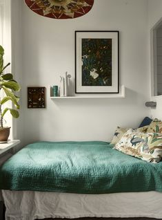 a bedroom with a bed, plant and pictures on the wall