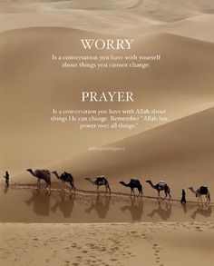 a group of camels walking in the desert with a message written on it's side