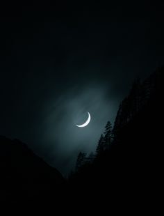 the moon is shining in the dark night sky over some trees and hills with pine trees on either side