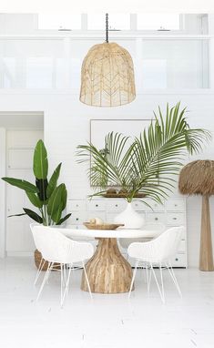 a white table and chairs in a room with plants on the floor, palm trees behind them