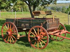 an old fashioned wagon sitting in the grass near a tree and some other farm equipment