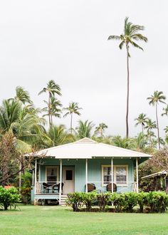 a blue house surrounded by palm trees on a cloudy day in the middle of nowhere