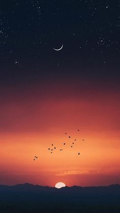 birds flying in the sky at sunset with mountains in the background and stars above them