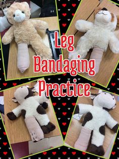 four pictures of stuffed animals with text overlay that reads leg bandadling practice for kids