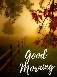 the words good morning are written in front of a foggy field with trees and fence