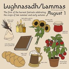 Lammas Lughnasadh Simmer Pot, How To Celebrate Lughnasadh, Lammas Crafts For Kids, Lammas Traditions, Lughnasadh Traditions, Lughnasadh Celebration, Lammas Lughnasadh Altar, Lugnasad Celebration, Lammas Altar Ideas