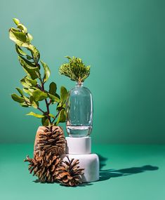 two pine cones are next to a glass bottle with water and greenery in it