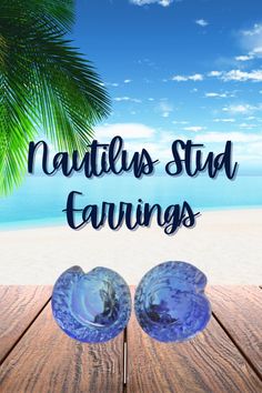 Nautilus Stud Earrings Nautilus Shell, Light Show, Nautilus, Beach Jewelry, Natural Light