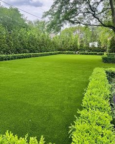 a lush green lawn surrounded by bushes and trees