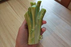 a person holding up a piece of celery