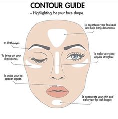 Images Contour Guide, How To Use Makeup, Makeup Illustration, Plucking Eyebrows, New Hair Do, Makeup Tutorial Step By Step, Makeup Store, Makeup Guide