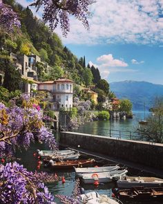 several boats are docked in the water next to some buildings and trees with purple flowers on them