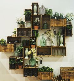 the shelves are filled with plants and vases